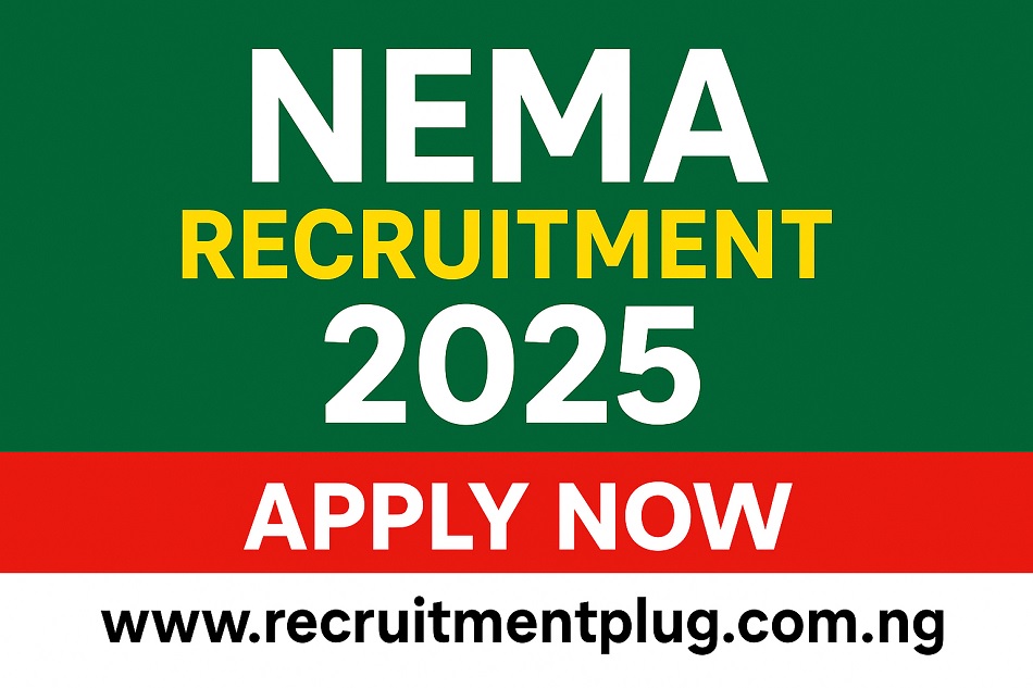 NEMA Recruitment 2025 Application Form